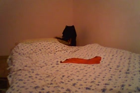 احلا سكس حيوانات مع بنات فيديو