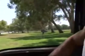 مقاطع سكس بسكال مسعلني