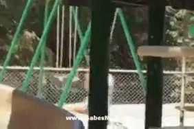 صور سكس الفنانه فيفي عبده حقيقي