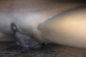 سكس واي فاي
