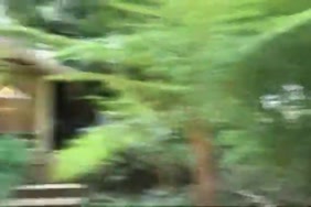 سكس سوري حقيقي متحرك
