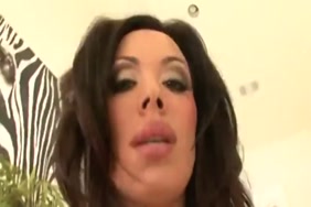 نيك الحصان مع الانسان