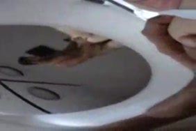 سكس المومثلة بيونة xnxx