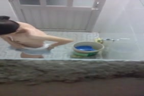 صور سكس اجمل مراهقات أوروبا