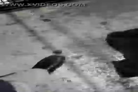 بنات نيك عراب من وهران