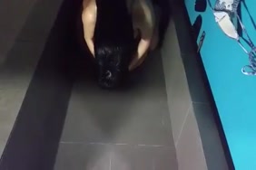 صور نيك متحركة قضيب اسود