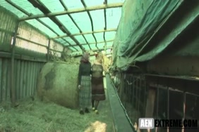 Zafaf arab video mb3 xxx