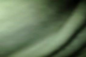 سكس منوع xvideos