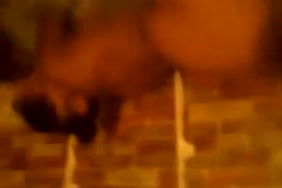 افلام سكس في الزراعة مص للحصان