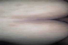 حصان ينيك بنت في كسح