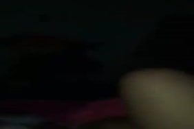 قصص شواذ مع الحيوان