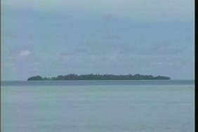 اغتصاب سكس الجيش الامريكي