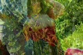 صور لحس اللبن م الكس