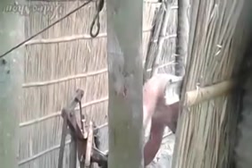 روابط سكس ورعان مجانن