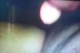 جحش ينيك فتاة