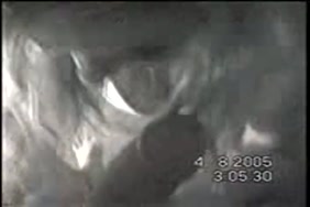 مقاطع سكس سعودي صبيان