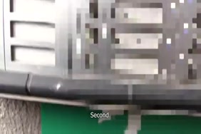 سيكس امرئه نيك مع حيوان الكلب