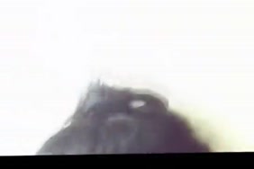 قصص سكش عرب نار
