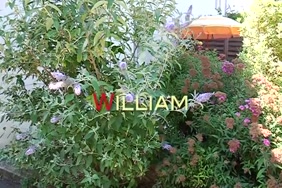 بنات ادغال افريقيا سكس