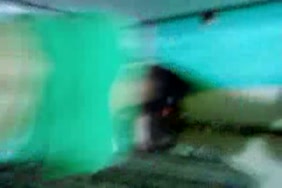 موقع اباحه قصيره