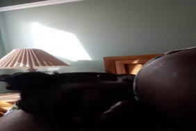 صور سكس وفيديو ينيكها من فوق الفيزون