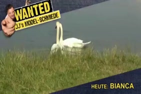 احلى سكس حيوانات