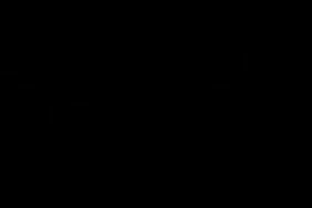 Xnxx nik pornoviduo