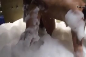 صوار سيكس نيك مواخير كبير سيكس بنات العرب
