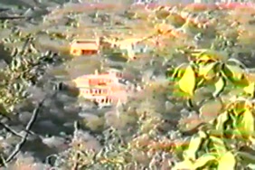 صور سكس نساء حوامل لبنان على البحر