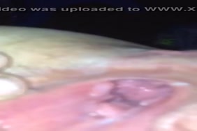 سكس حيوانات الصين