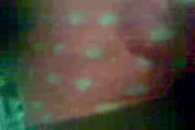 صور كترينا كيف سكس الهندية فقط