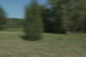 بنإت إلكويت.سكس