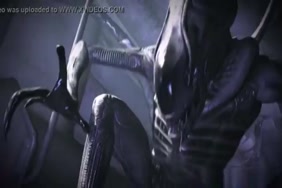Www.xxnx.com افلام سكس راهبات تنزيل مجانا