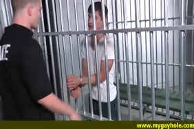 Xnxx مطبخ مدبلج