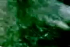 Www.xnxx.aflam tons