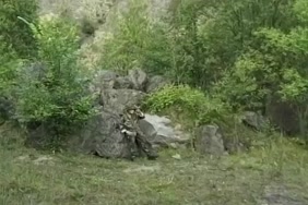 كيف تنيك معزهxnxx