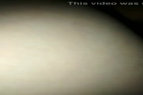 مروف سكسى ل طه ل حيوانات