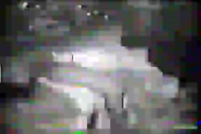 سكس.واد.سوف