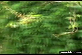 قصص.نيك.عراقية