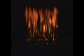 سكس صور كلاب