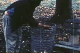 سكس انسان نيك خيول وحمير
