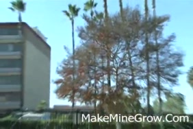 Www. .com.com سكس.حيوانات