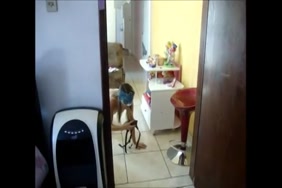 فديو سكس بدون حضر
