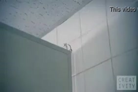 صوركس كاترينا‎ ‎كيف