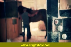 Xxx حيوانات بتنيك حريم
