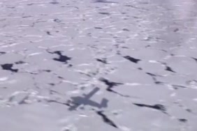 فديومص ونيك حيوانات مع بنات