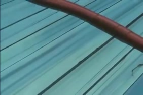 سكسي اخوات موتر جم عربي