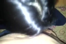 سكس حصان يجيبهم ف كسها