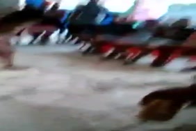 Xnxx fe laj 26