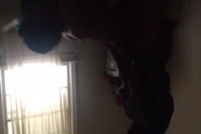 زنبور بينزل عسل متحرك